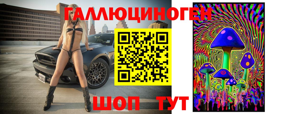 Галлюциногенные грибы Cubensis Гатчина