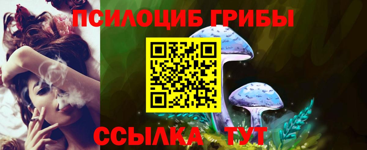 Галлюциногенные грибы MAGIC MUSHROOMS  Вход с VPN  Гатчина 